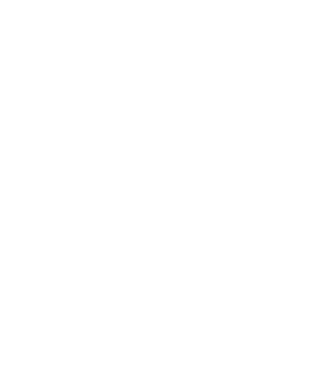 logo casa toschi